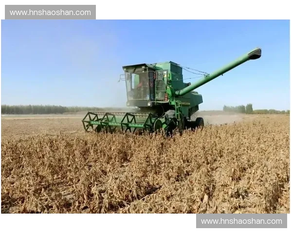 围绕中协杯赛程表解析全年赛事动态与球队表现深度展望趋势前瞻篇